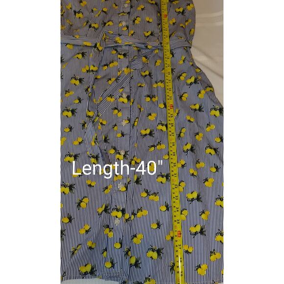 Chloe & Rene Blue Pinstripe Sleeveless Shirt Dress XL Lemon Print Cotton Belted - Picture 11 of 16